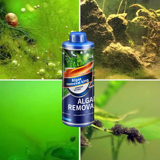 🌿💯Algae King🔥 Crazy Aquatic Weed Algae Remover - Buy More, Get More, Restore Clear Waters