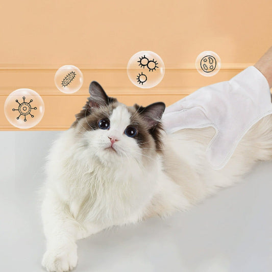 Protecting the health of pets and family ✨ Pet Glove Bathing Wipes for 🐶Dogs & Cats😺(zhou ye)
