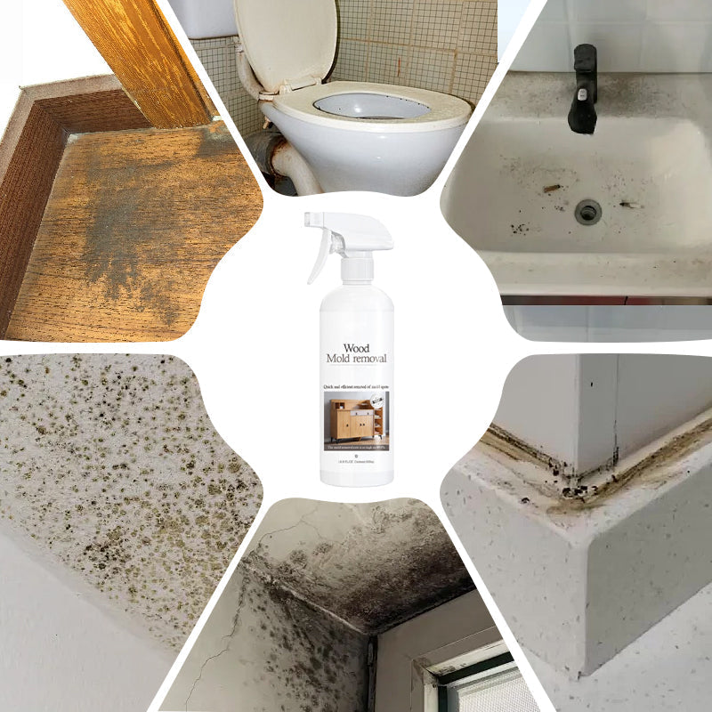🫧Effective Wood Mold & Mildew Stain Remover