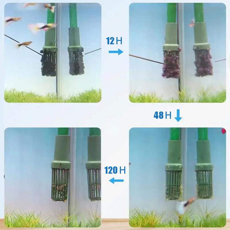 🔥2026 Hot Sale🔥Effective Algae Control for Aquarium(50% OFF)