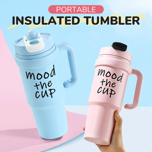 Portable Insulated Tumbler with Lid & Straw