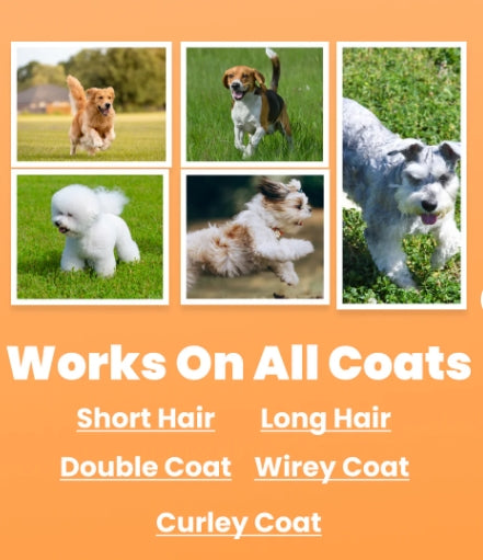 🐶🪮Multifunctional Pet Hair Detangling and Care Comb💈 Effortless Grooming, Care for Your Pet's Coat Health（50% OFF）