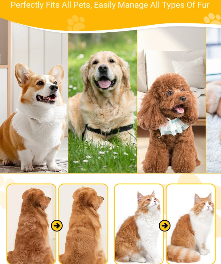 🐶🪮Multifunctional Pet Hair Detangling and Care Comb💈 Effortless Grooming, Care for Your Pet's Coat Health（50% OFF）