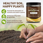🔥Limited Sale - BUY 2 GET 1 FREE🔥Soil Improvement Loosening Agent