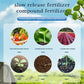 🔥2025 Hot Sale 54%OFF 🌞Home Gardening Universal Slow-Release Tablet Organic Fertilizer