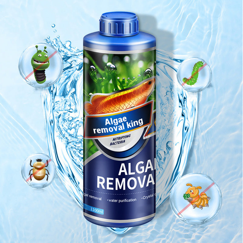 🌿💯Algae King🔥 Crazy Aquatic Weed Algae Remover - Buy More, Get More, Restore Clear Waters