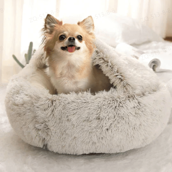 🐶CozyHive😺 - Premium Pet Bed - 49% off this week