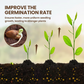 🔥Limited Sale - BUY 2 GET 1 FREE🔥Soil Improvement Loosening Agent
