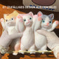 🎁Easter Promotion😻Cute and soft cat-shaped toy💕(relieves stress)