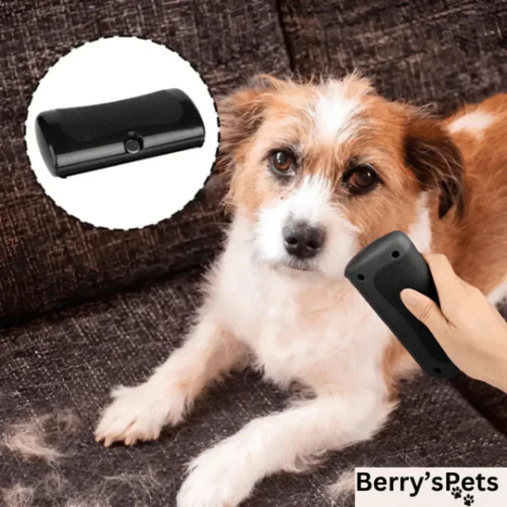 🐶🪮Multifunctional Pet Hair Detangling and Care Comb💈 Effortless Grooming, Care for Your Pet's Coat Health（50% OFF）