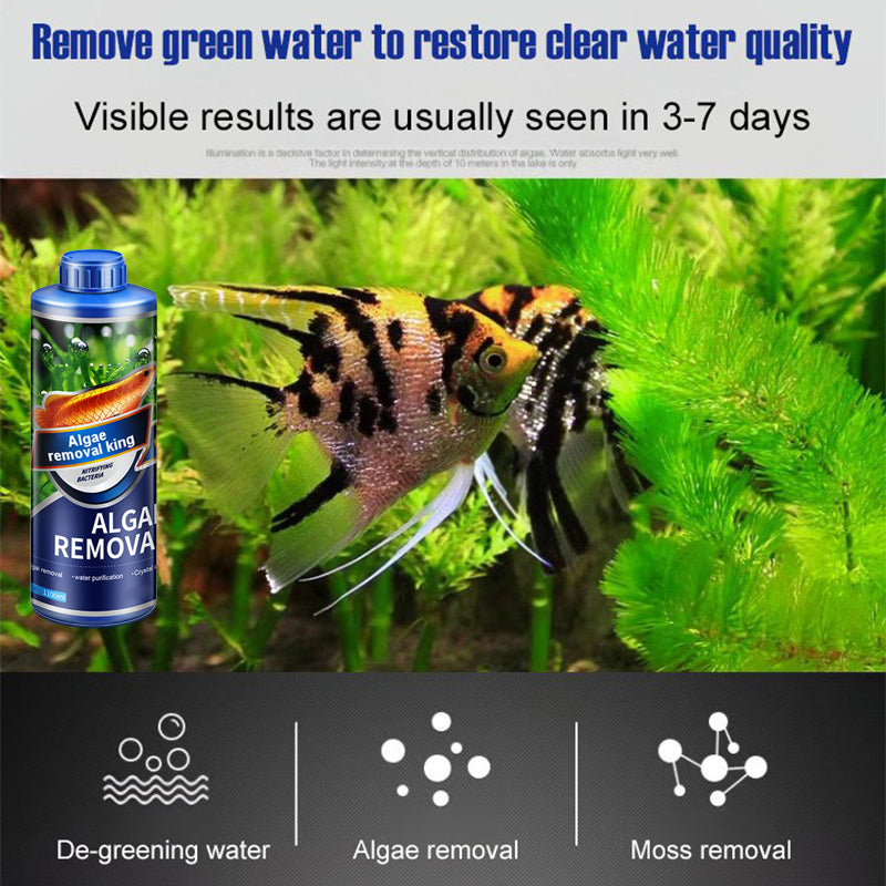 🌿💯Algae King🔥 Crazy Aquatic Weed Algae Remover - Buy More, Get More, Restore Clear Waters