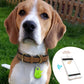 🔥Hot Sale ：BUY 1 GET 1 FREE🔥OFFIntelligent tracking locator