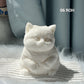 🎁Easter Promotion😻Cute and soft cat-shaped toy💕(relieves stress)