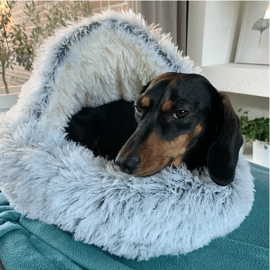🐶CozyHive😺 - Premium Pet Bed - 49% off this week