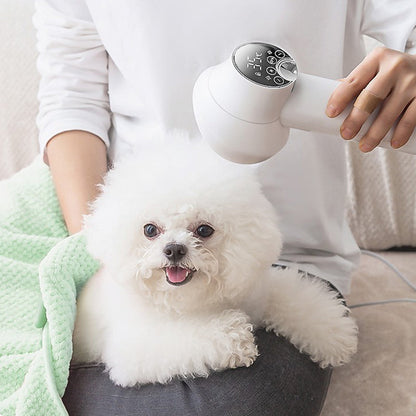 🎁HOT SALE ⏳Low Noise Pet Hair Dryer with Slicker Brush
