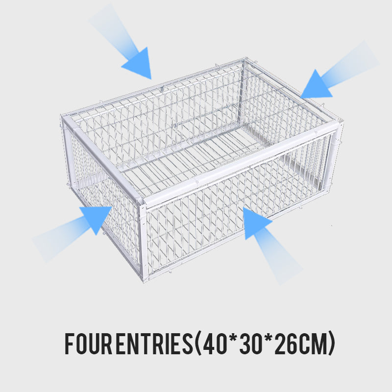 AutoTrap Bird Cage - Entry Only, No Exit