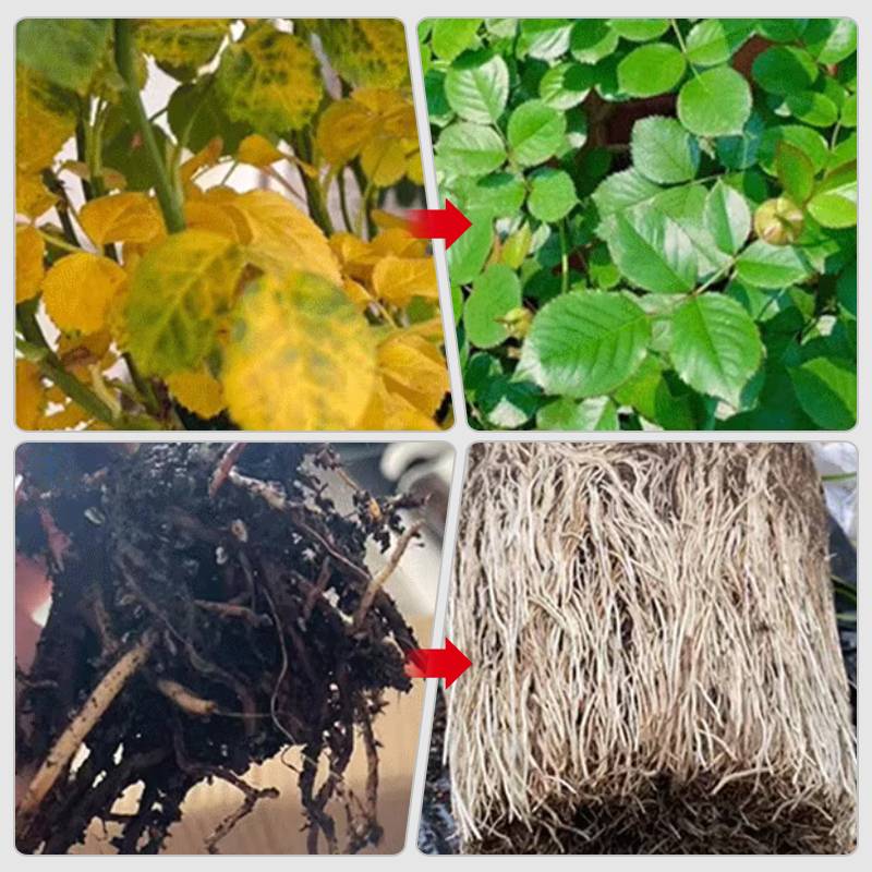 🌱Environmental protection is the trend, green is the attitude!⏰Fast-Acting Nutrient Solution for Plants