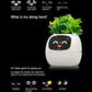 🌼🤖Fun Smart Flowerpot with Multiple Expressions🎍 Make Your Plant Life More Fun Expressions at Your Whim!
