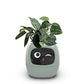 🌼🤖Fun Smart Flowerpot with Multiple Expressions🎍 Make Your Plant Life More Fun Expressions at Your Whim!