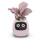 🌼🤖Fun Smart Flowerpot with Multiple Expressions🎍 Make Your Plant Life More Fun Expressions at Your Whim!