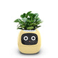 🌼🤖Fun Smart Flowerpot with Multiple Expressions🎍 Make Your Plant Life More Fun Expressions at Your Whim!