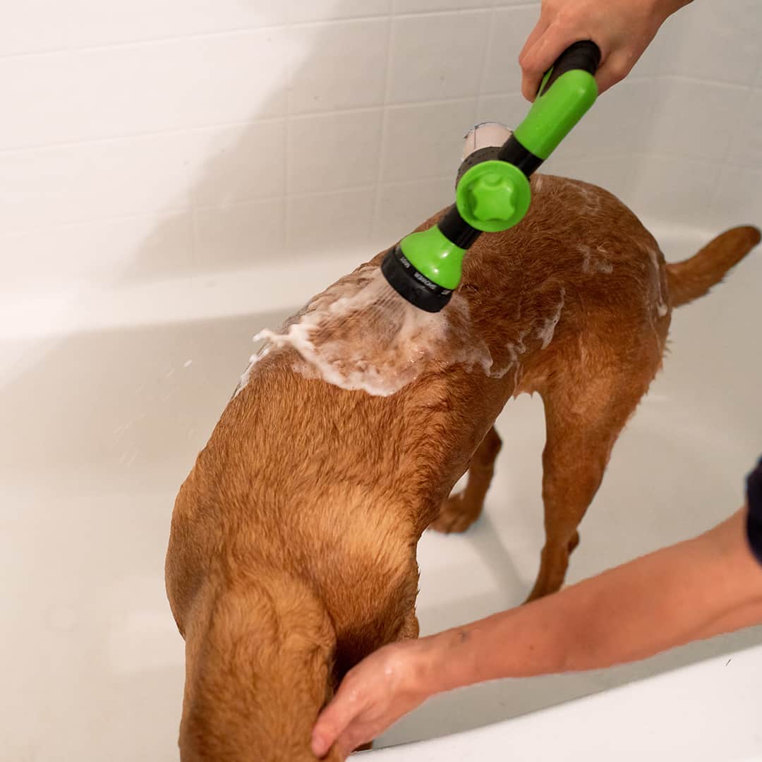 🔥 "Foam Master 8-in-1!  💦 Your New Cleaning Superpower"