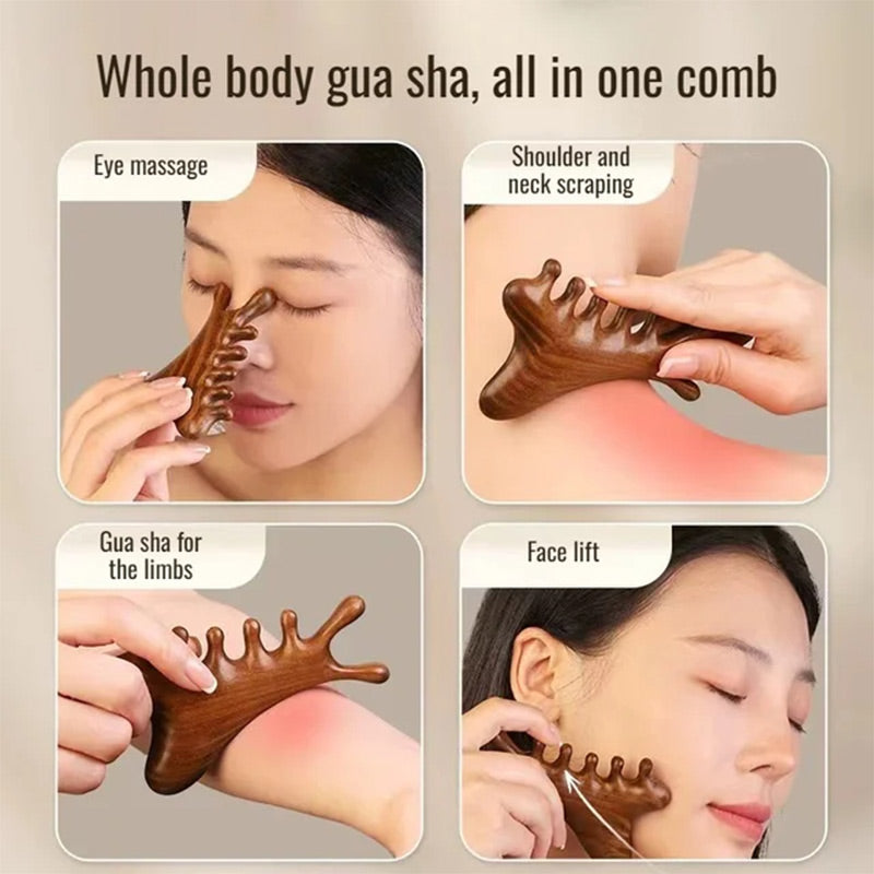 4-in-1 Wooden Scalp Massage Comb Gua Sha Tool