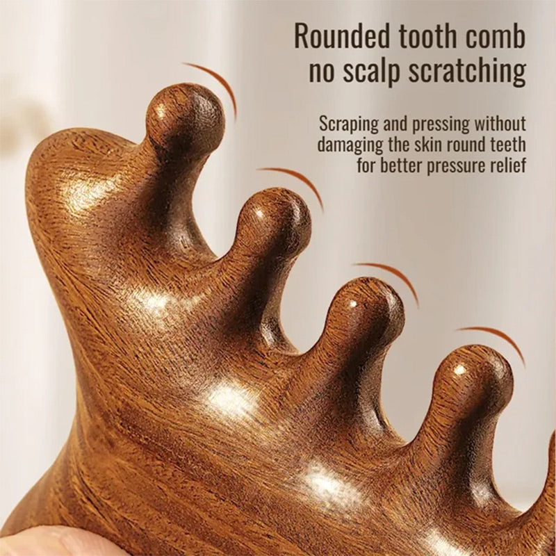 4-in-1 Wooden Scalp Massage Comb Gua Sha Tool