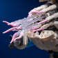 🦑🔧Mechanical Nautilus Assembled Building Block Ornament Toy🎁 50% OFF on the Second Item! Creative Building, Educational Toy, New Home Decor Choice!