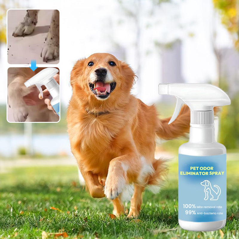 🍃Buy 2 Get 1 Free 🍃Pet Odor Eliminator Spray🐱🐶