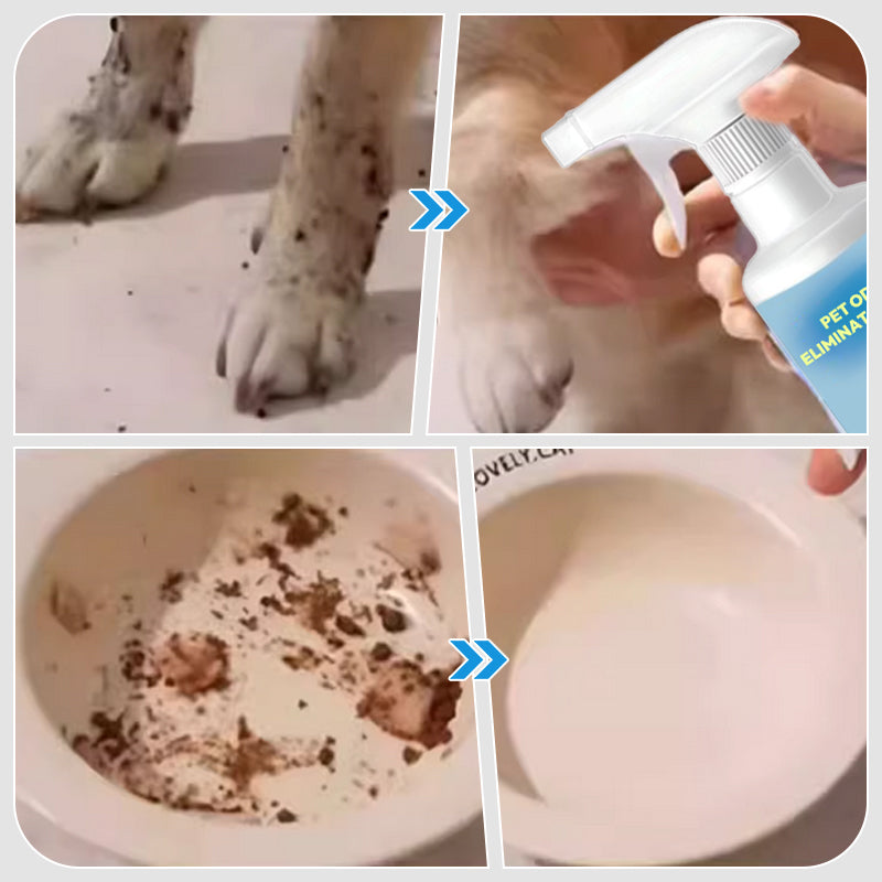 🍃Buy 2 Get 1 Free 🍃Pet Odor Eliminator Spray🐱🐶