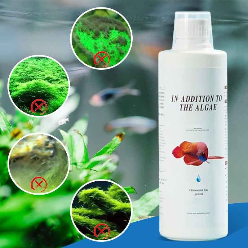 🔥2026 Hot Sale🔥Effective Algae Control for Aquarium(50% OFF)