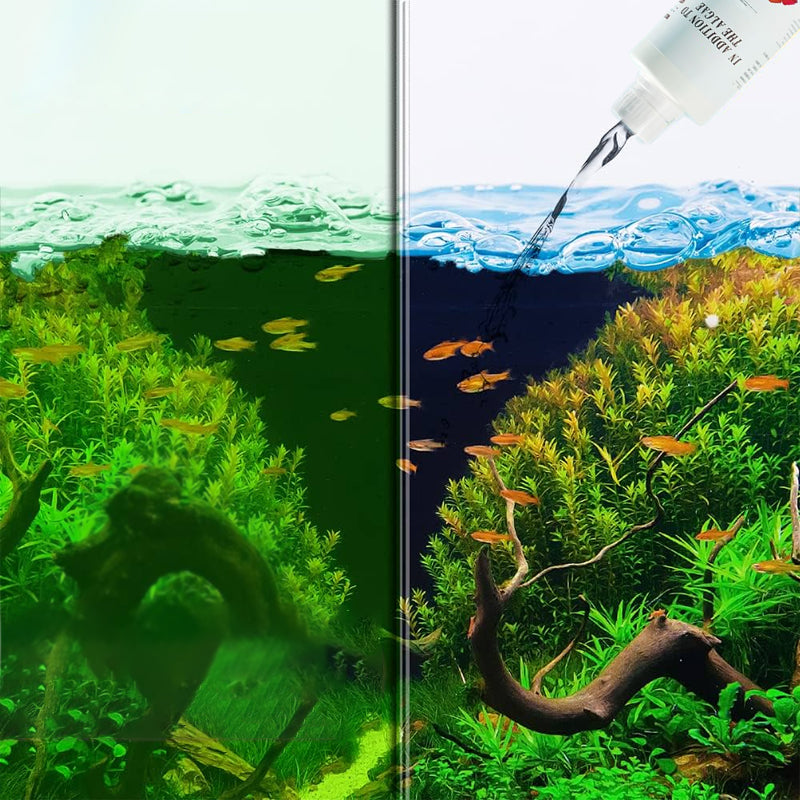 🔥2026 Hot Sale🔥Effective Algae Control for Aquarium(50% OFF)