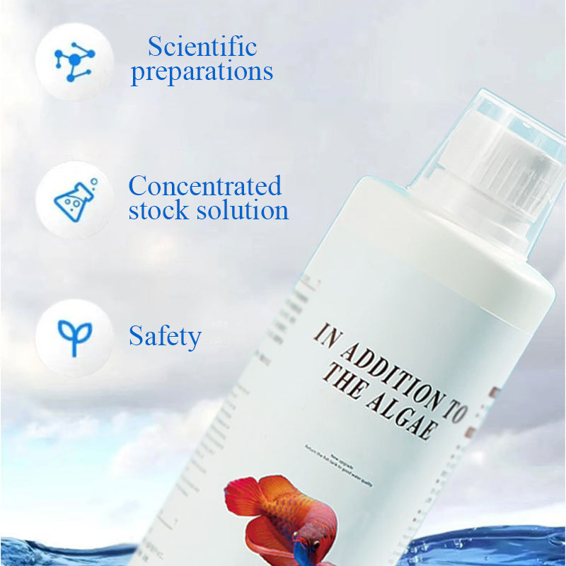 🔥2026 Hot Sale🔥Effective Algae Control for Aquarium(50% OFF)