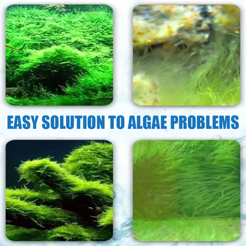 🔥2026 Hot Sale🔥Effective Algae Control for Aquarium(50% OFF)
