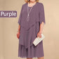 🎊Mother's Day Limited Time 50% OFF👗Plus Size Layered Midi Dress