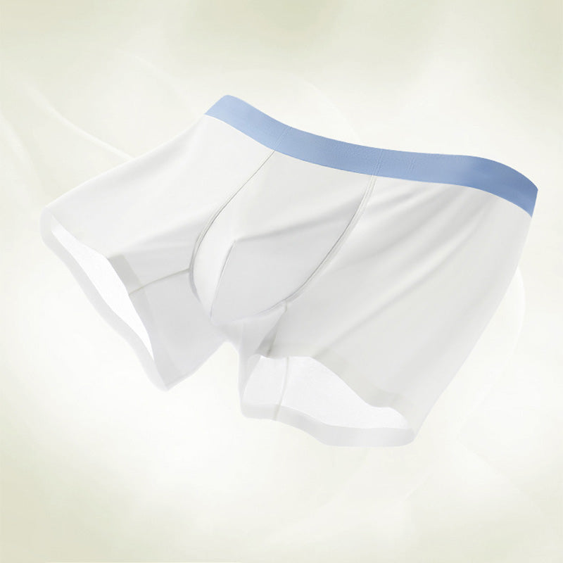 ❄️Frozen This Summer❄️Men's Breathable Ice Feeling Boxer Briefs