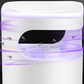 🔥Summer Essentials🦟UV Fly Trap with Transparent Catch Box