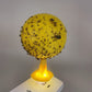 🚫🪰🦟Sticky Fruit Fly Trap Ball with Stand & LED