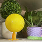 🚫🪰🦟Sticky Fruit Fly Trap Ball with Stand & LED
