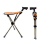 3-in-1 Foldable Cane With Chair