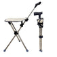 3-in-1 Foldable Cane With Chair