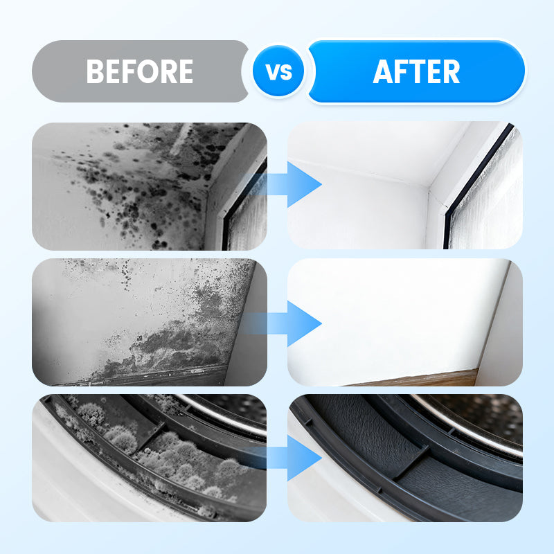 💥 Black Friday Discount! Deep Penetrating Mildew Remover – Safe & Effective 🌟