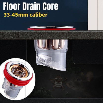 Magnetic odor-blocking insert for floor drain