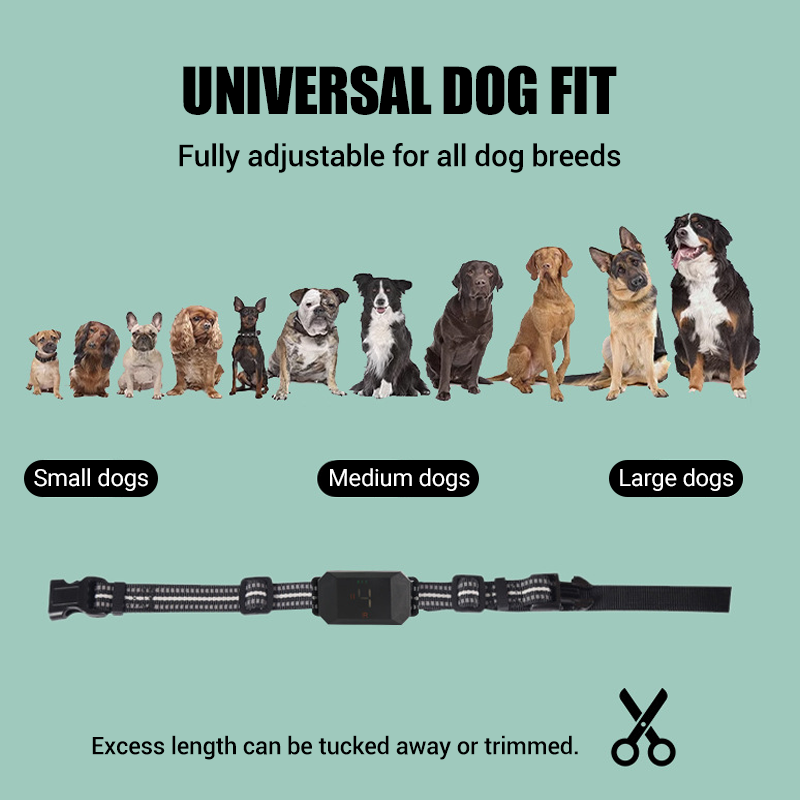 Waterproof Remote Dog Training Collar with Vibration & Shock