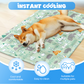 Durable Cartoon Cooling Pet Mat