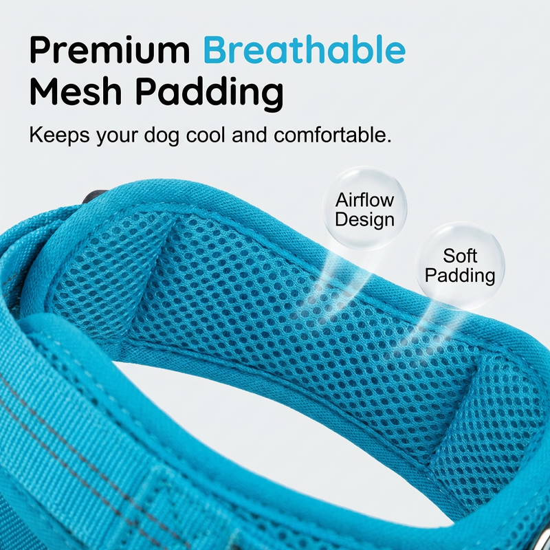 Easy On-Off Padded Dog Harness for Walking