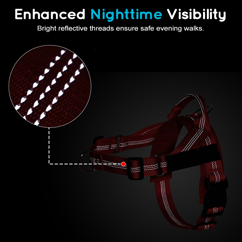 Easy On-Off Padded Dog Harness for Walking