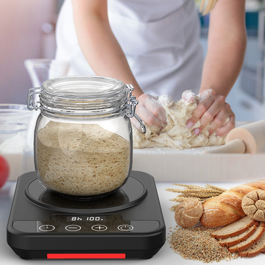 Digital Yeast Fermentation Thermostat