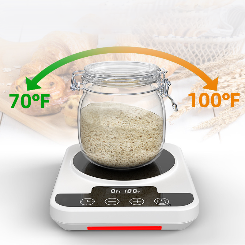 Digital Yeast Fermentation Thermostat
